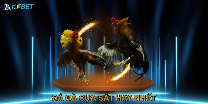 da-ga-cua-sat-hay-nhat