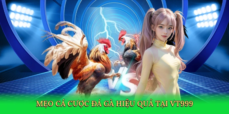 meo-ca-cuoc-da-ga-hieu-qua-tai-vt999-4