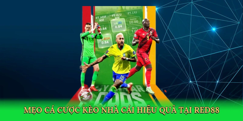 meo-ca-cuoc-keo-nha-cai-hieu-qua-tai-red88-4