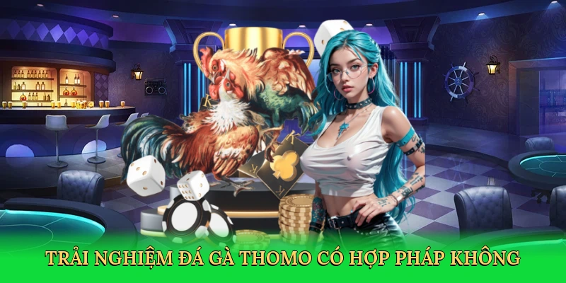 trai-nghiem-da-ga-thomo-co-hop-phap-khong-2